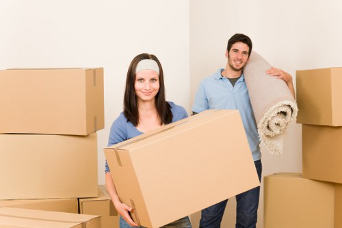 Residential and commercial packing support in Petts Wood